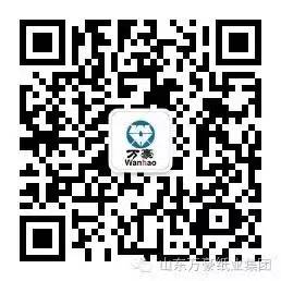 云开手机网·（中国）官方版在线
